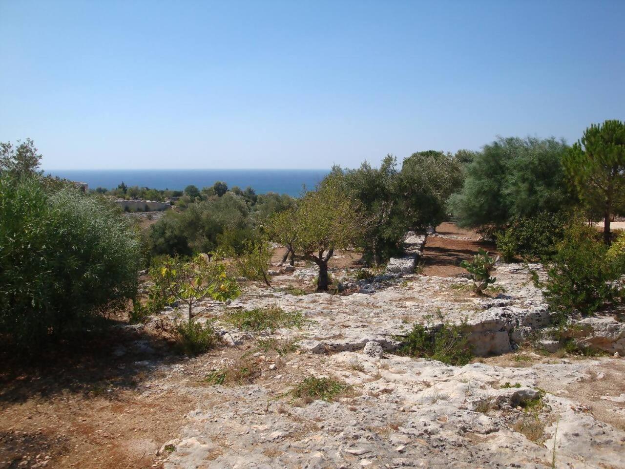 Villa Feudo Frammasi - Curte Glamping Experience Salve Esterno foto